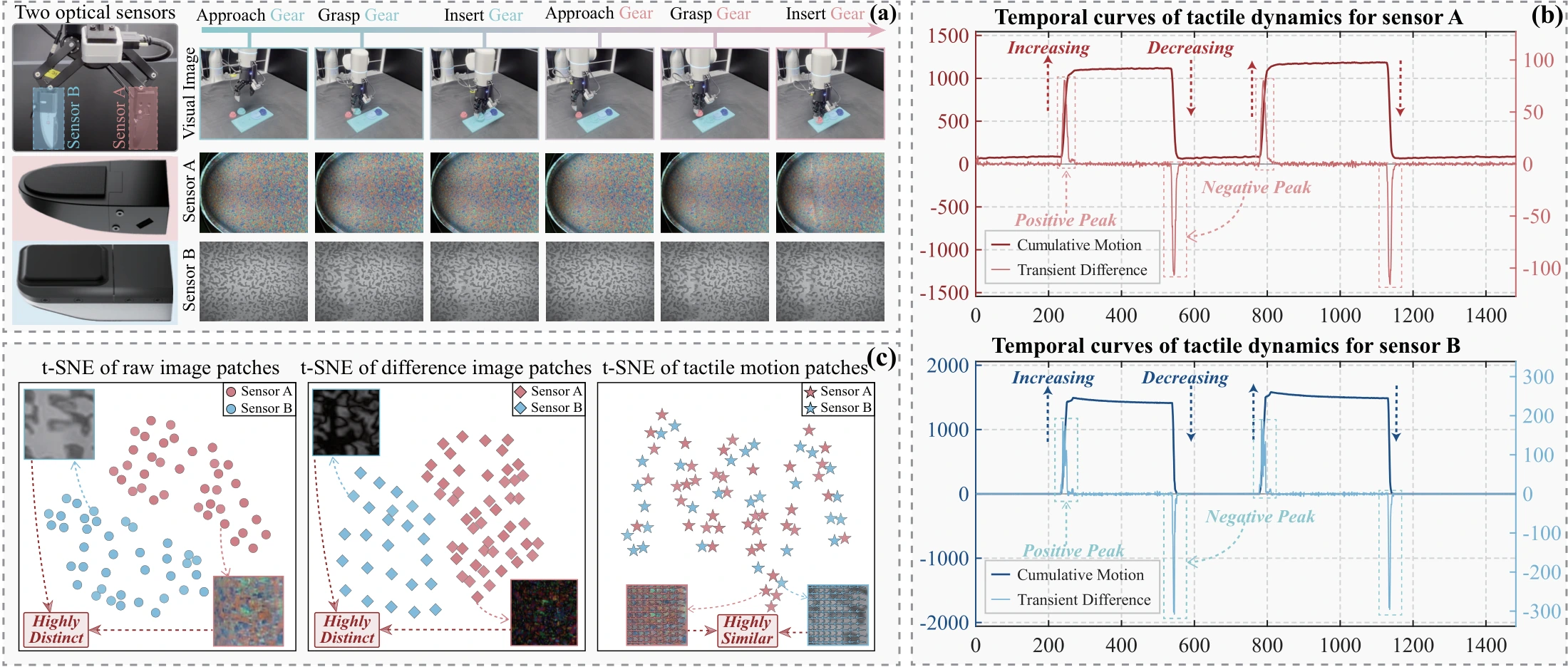 Tactile dynamics across contact stages and optical sensors. Cumulative motion describes deformation relative to the initial reference, while its signed change captures short-term variations.